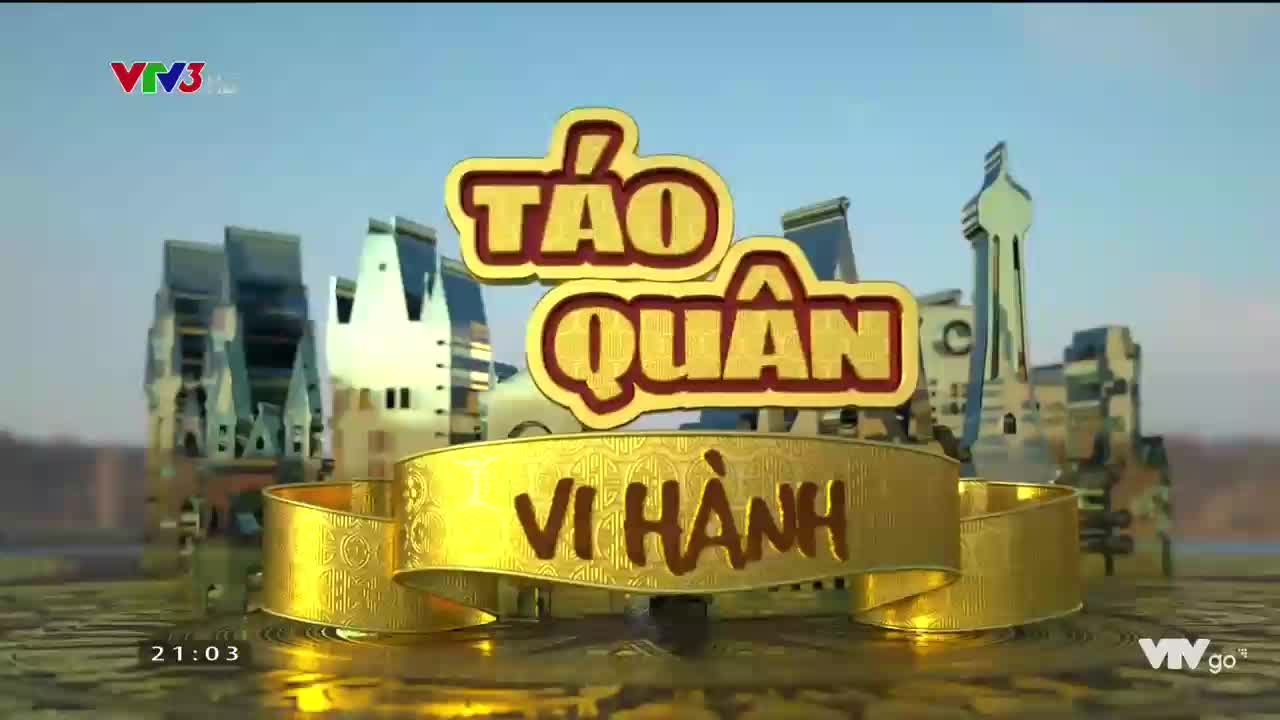 Táo quân vi hành