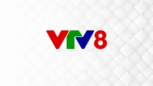 VTV8