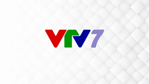 VTV7