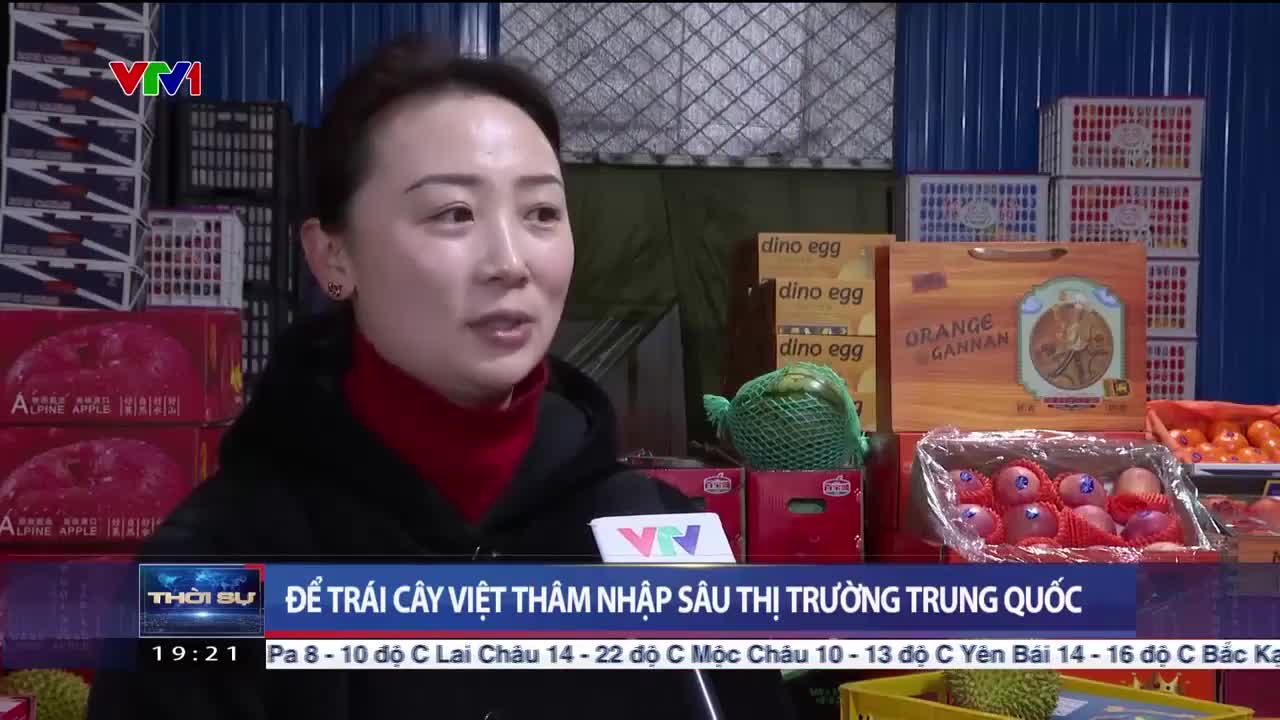 Để trái cây Việt thâm nhập sâu vào thị trường Trung Quốc | Thời sự 19h
