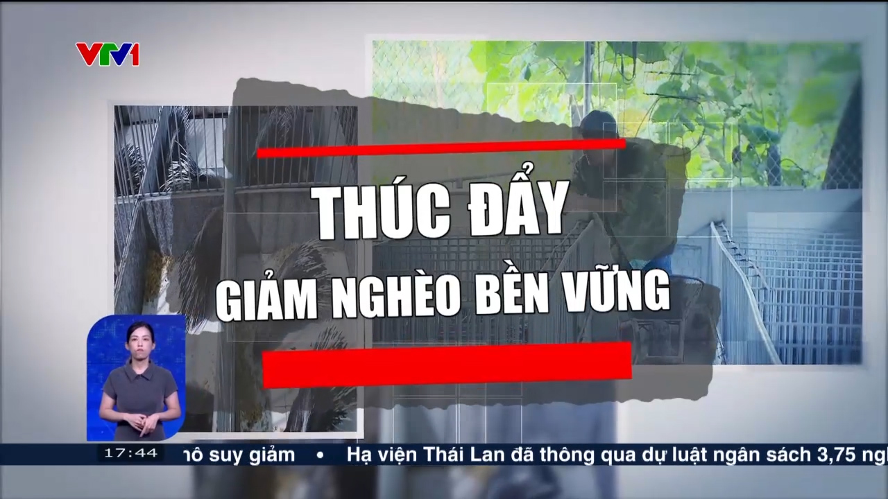 Thúc đẩy giảm nghèo bền vững | Việt Nam hôm nay