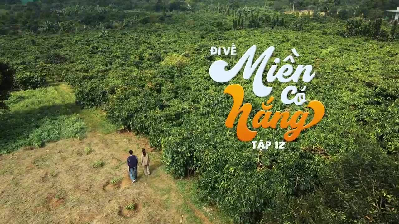 Diễn biến phim “Đi về miền có nắng” | Tập 12 | VTV3 và VTVgo